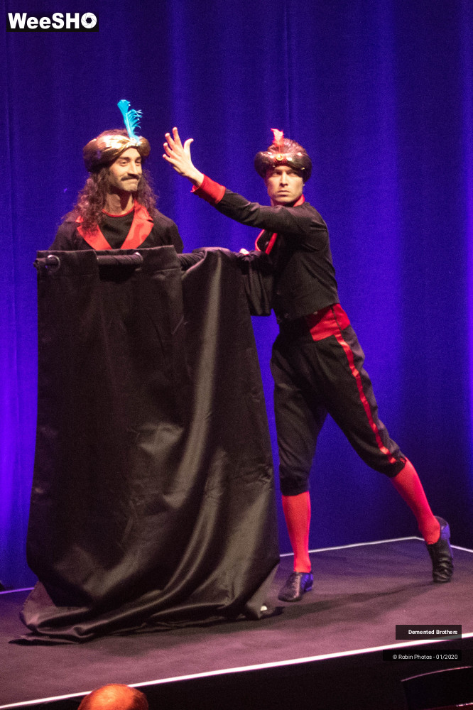 2/38 photos du spectacle Demented Brothers