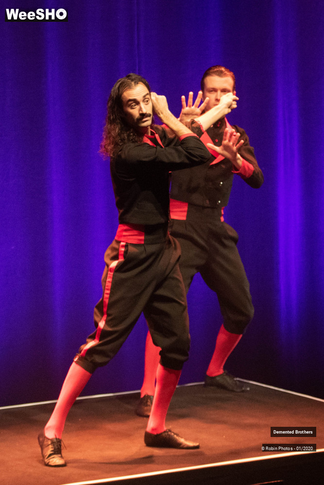 3/38 photos du spectacle Demented Brothers