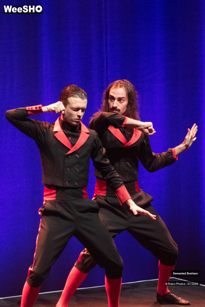 4/38 photos du spectacle Demented Brothers