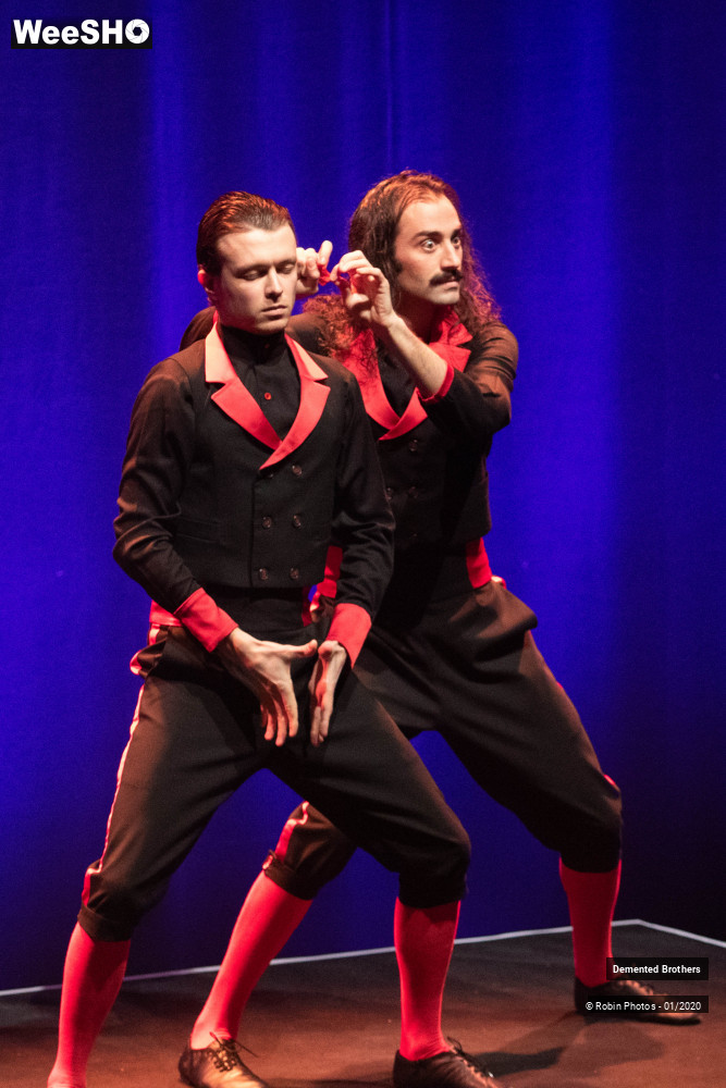 5/38 photos du spectacle Demented Brothers
