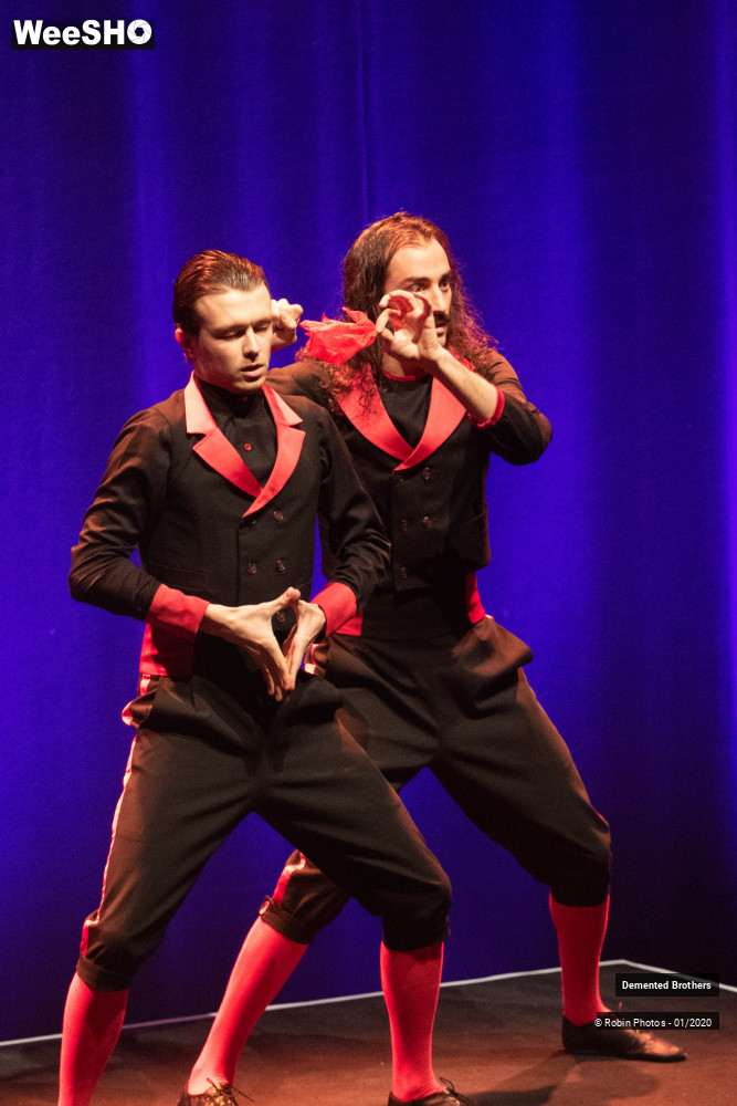 6/38 photos du spectacle Demented Brothers