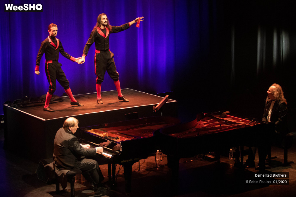 7/38 photos du spectacle Demented Brothers