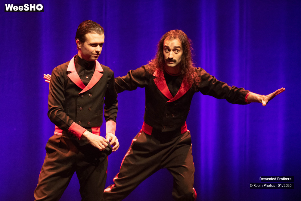 8/38 photos du spectacle Demented Brothers