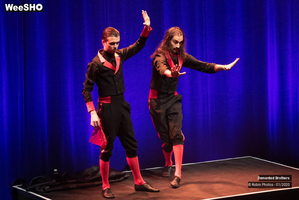 9/38 photos du spectacle Demented Brothers