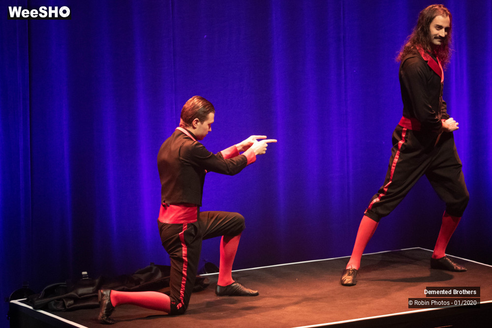 12/38 photos du spectacle Demented Brothers
