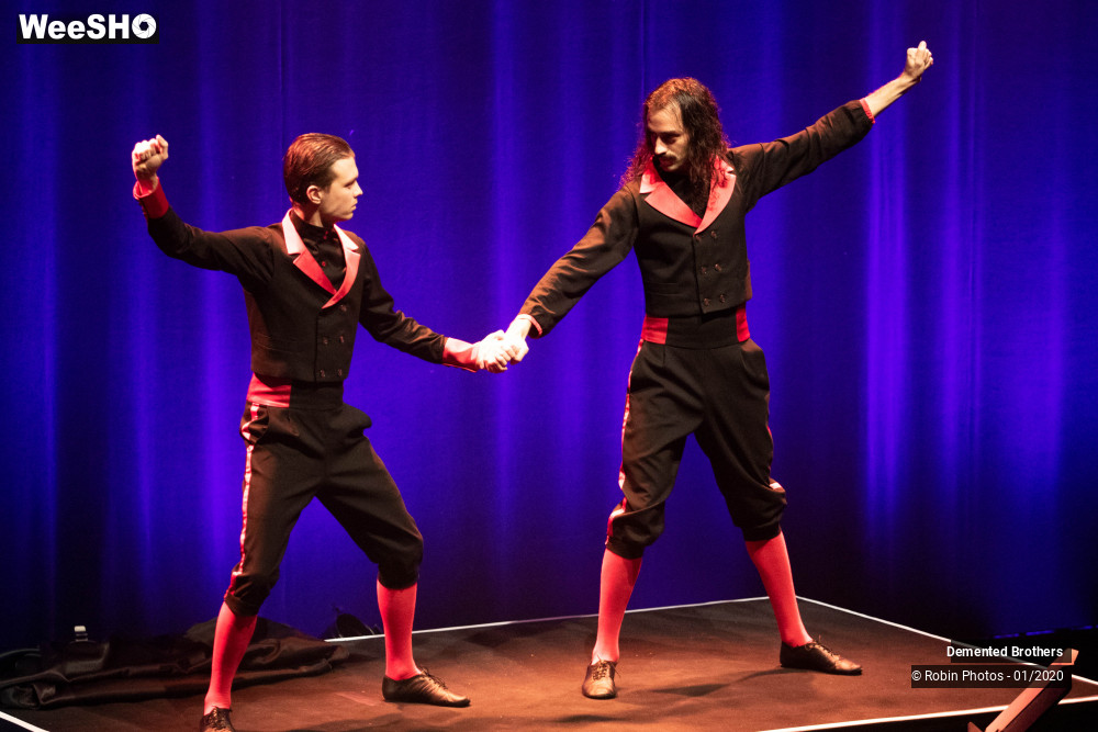 15/38 photos du spectacle Demented Brothers