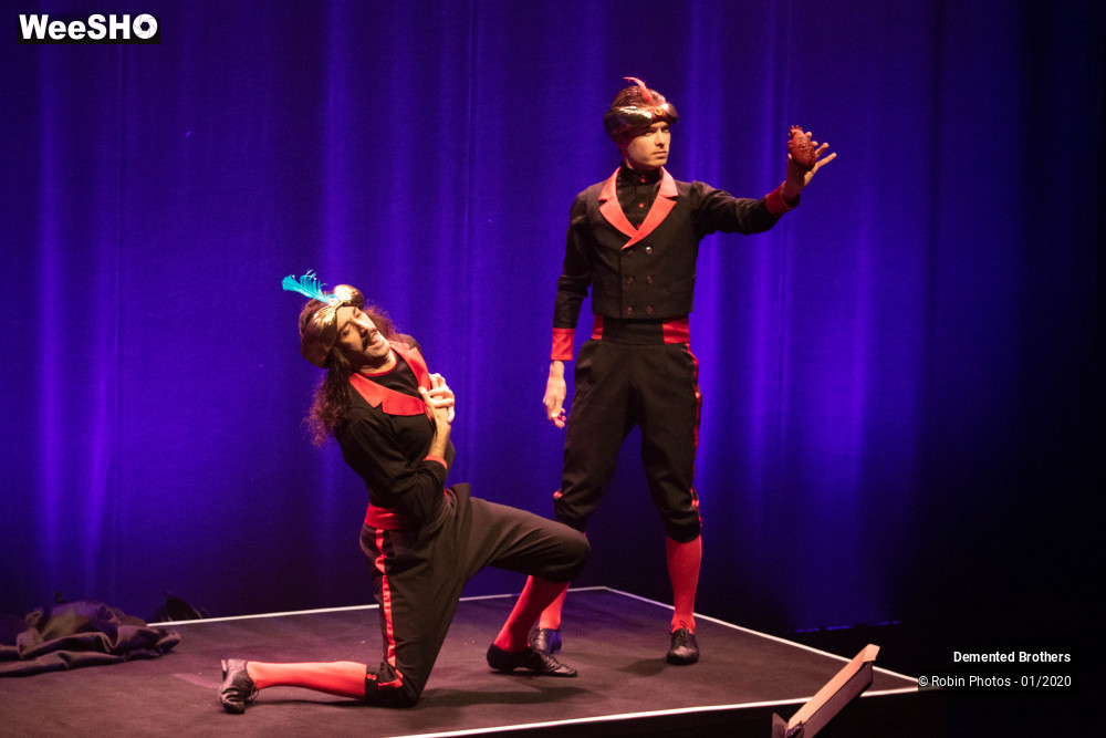 17/38 photos du spectacle Demented Brothers