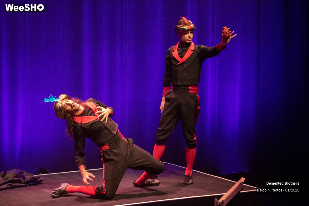 18/38 photos du spectacle Demented Brothers