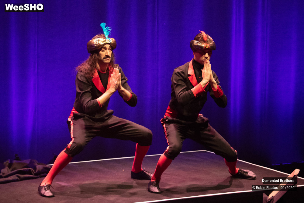 19/38 photos du spectacle Demented Brothers