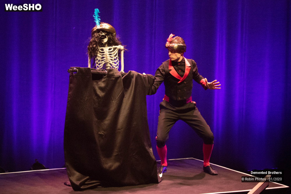 20/38 photos du spectacle Demented Brothers
