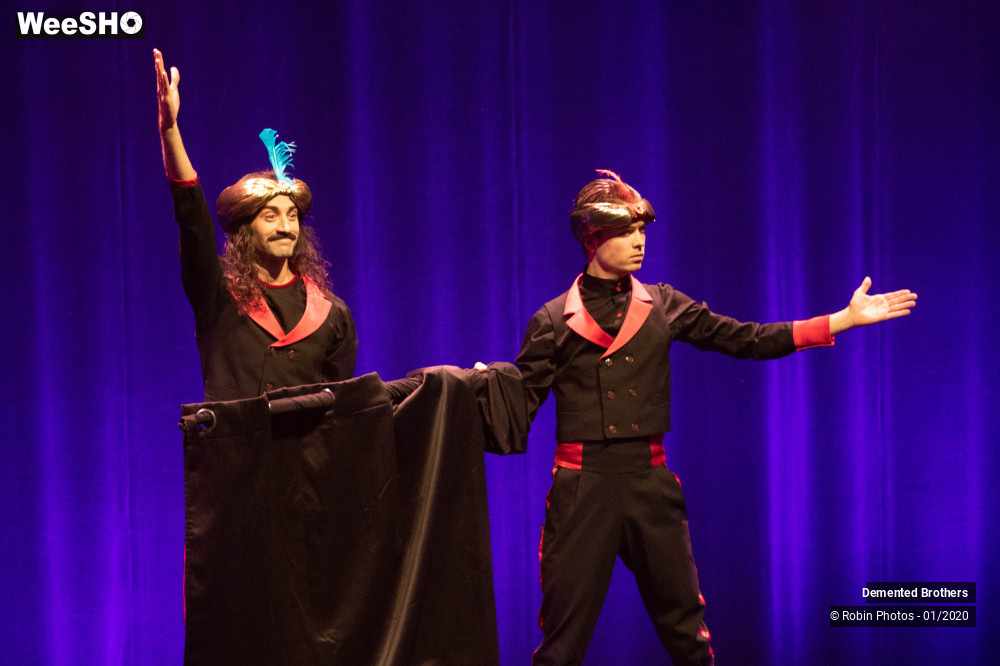 22/38 photos du spectacle Demented Brothers