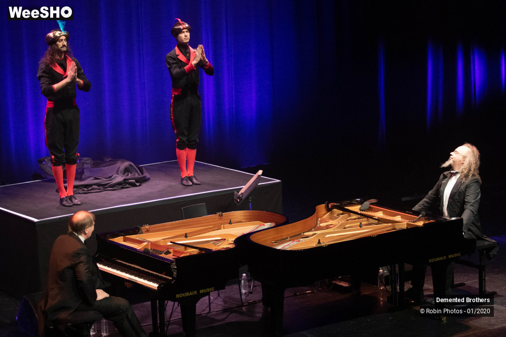 23/38 photos du spectacle Demented Brothers