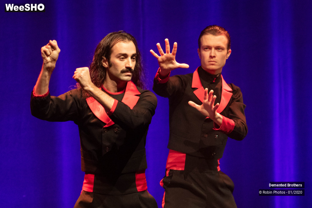 24/38 photos du spectacle Demented Brothers
