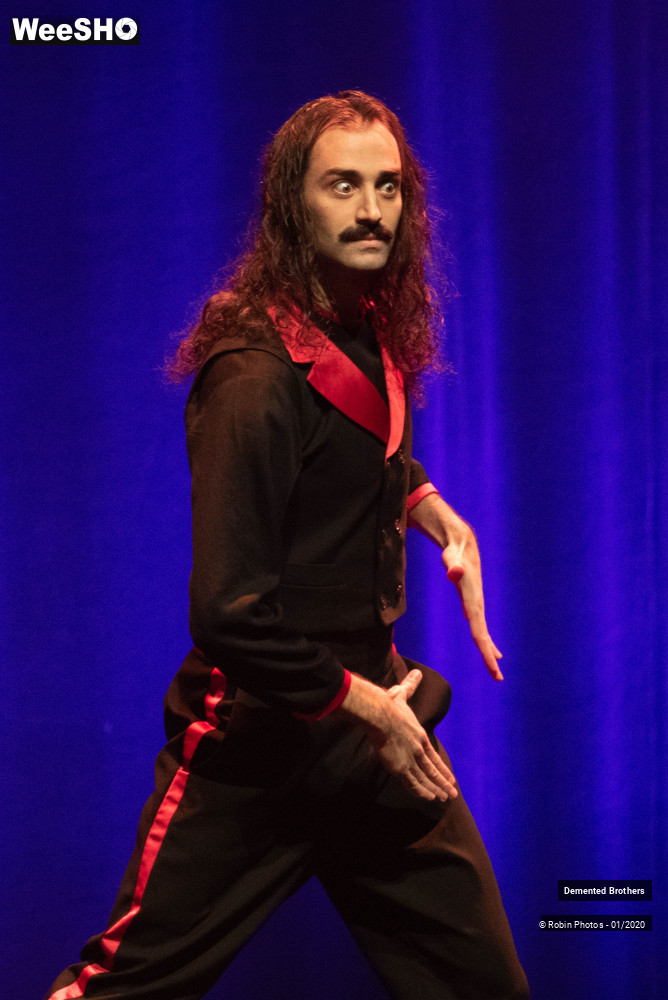28/38 photos du spectacle Demented Brothers