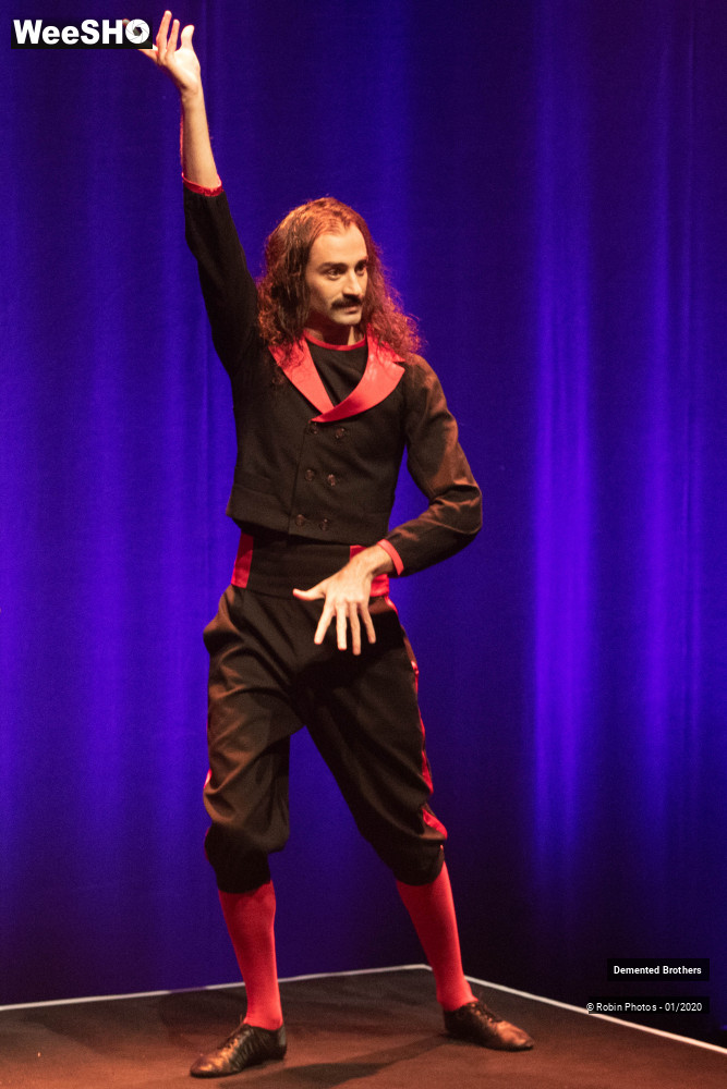 29/38 photos du spectacle Demented Brothers