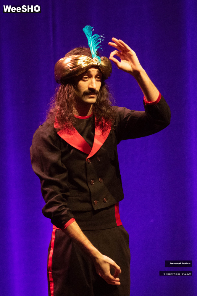 34/38 photos du spectacle Demented Brothers