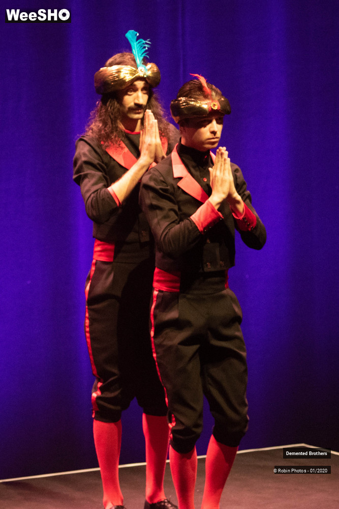 35/38 photos du spectacle Demented Brothers