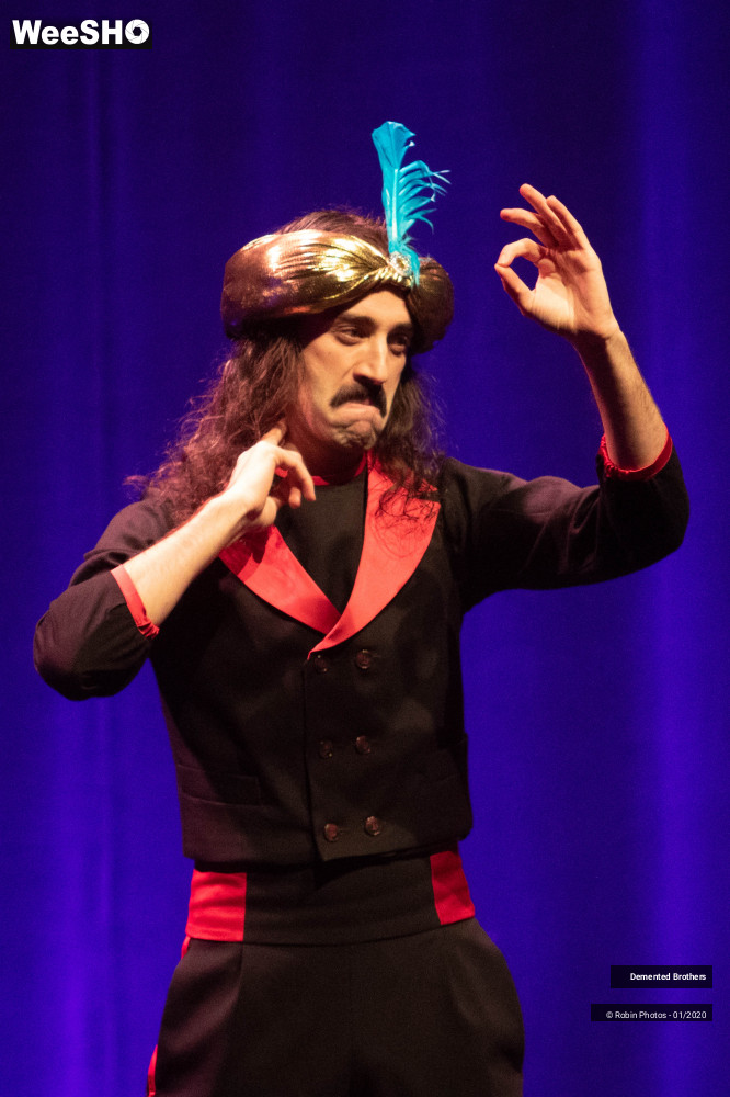 36/38 photos du spectacle Demented Brothers