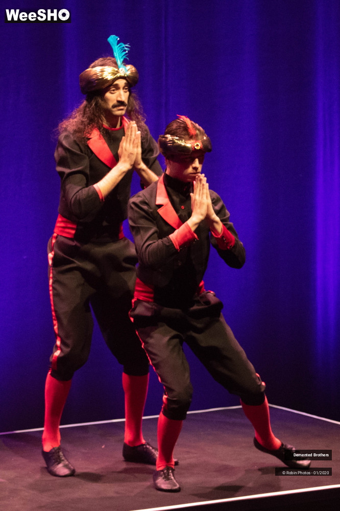 38/38 photos du spectacle Demented Brothers