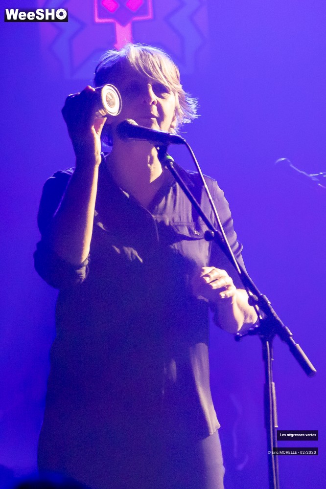 7/60 photos du spectacle les négresses vertes