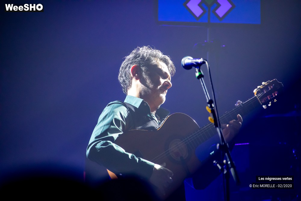 11/60 photos du spectacle les négresses vertes