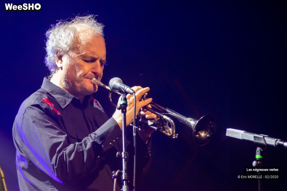 12/60 photos du spectacle les négresses vertes