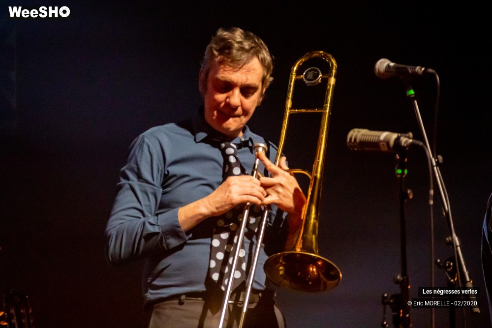 13/60 photos du spectacle les négresses vertes