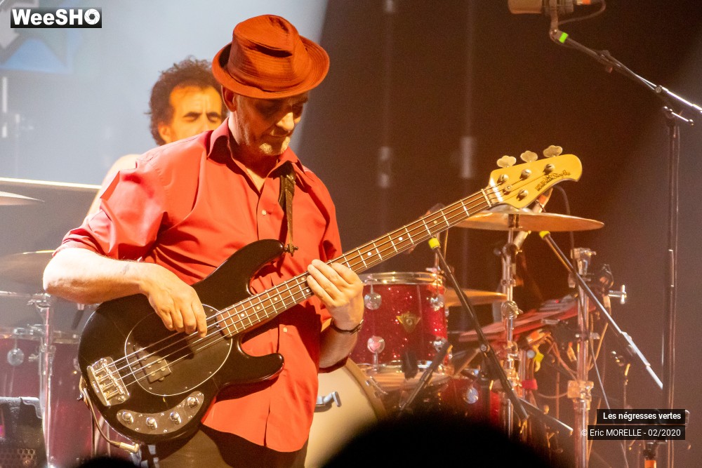 14/60 photos du spectacle les négresses vertes