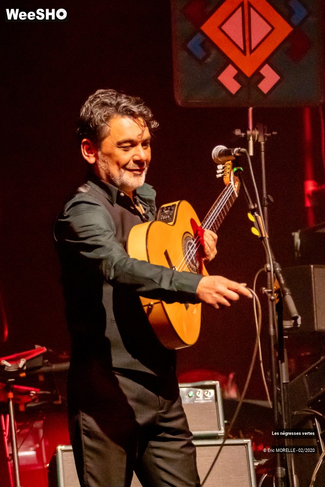 18/60 photos du spectacle les négresses vertes