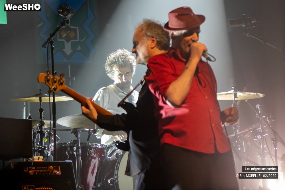 21/60 photos du spectacle les négresses vertes