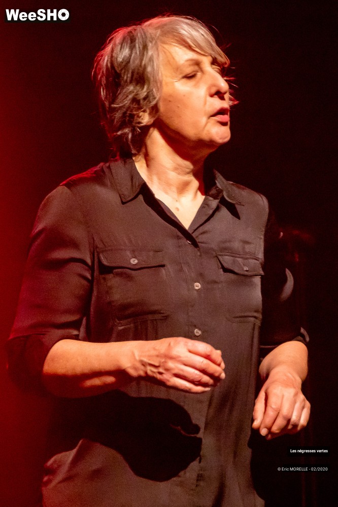 23/60 photos du spectacle les négresses vertes