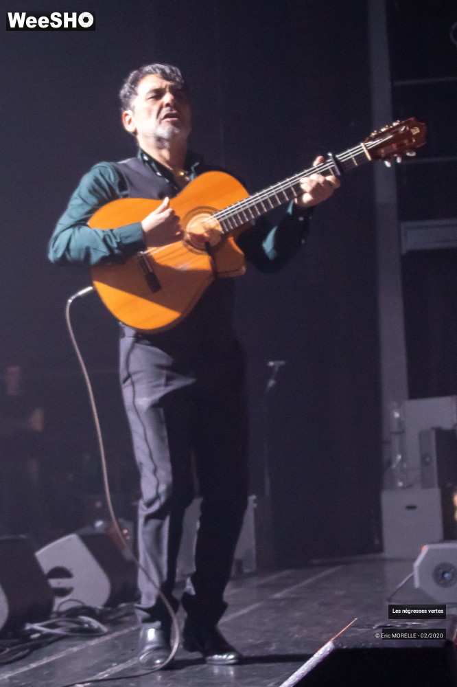 47/60 photos du spectacle les négresses vertes