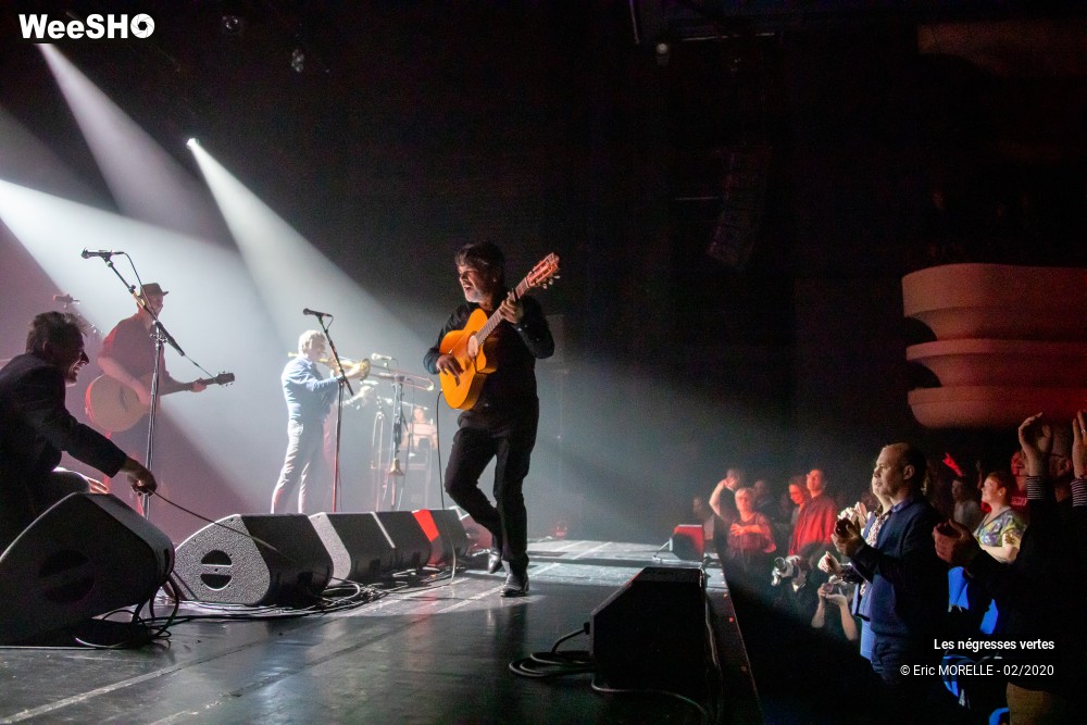 48/60 photos du spectacle les négresses vertes