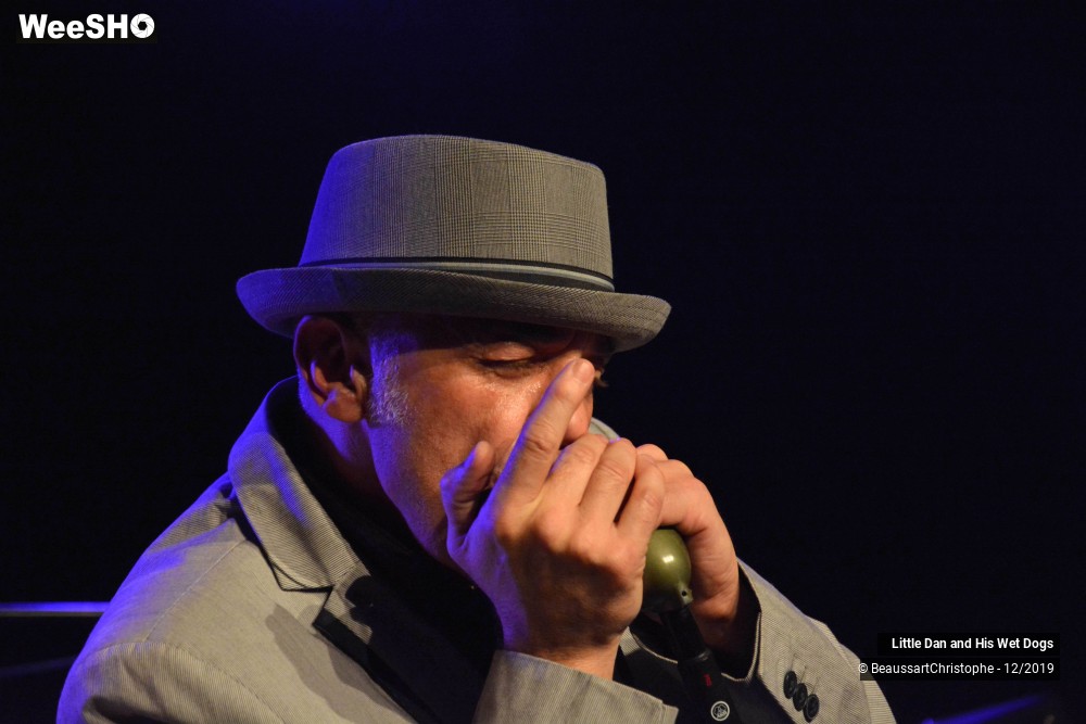 26/42 photos du spectacle Little Dan and His Wet Dogs