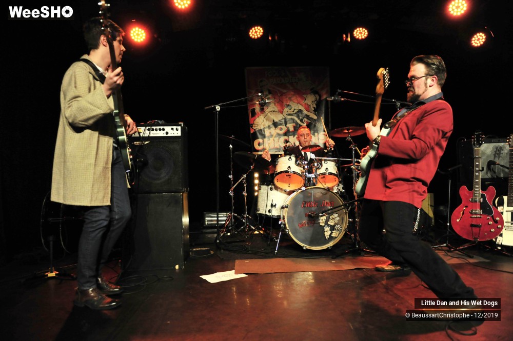 30/42 photos du spectacle Little Dan and His Wet Dogs