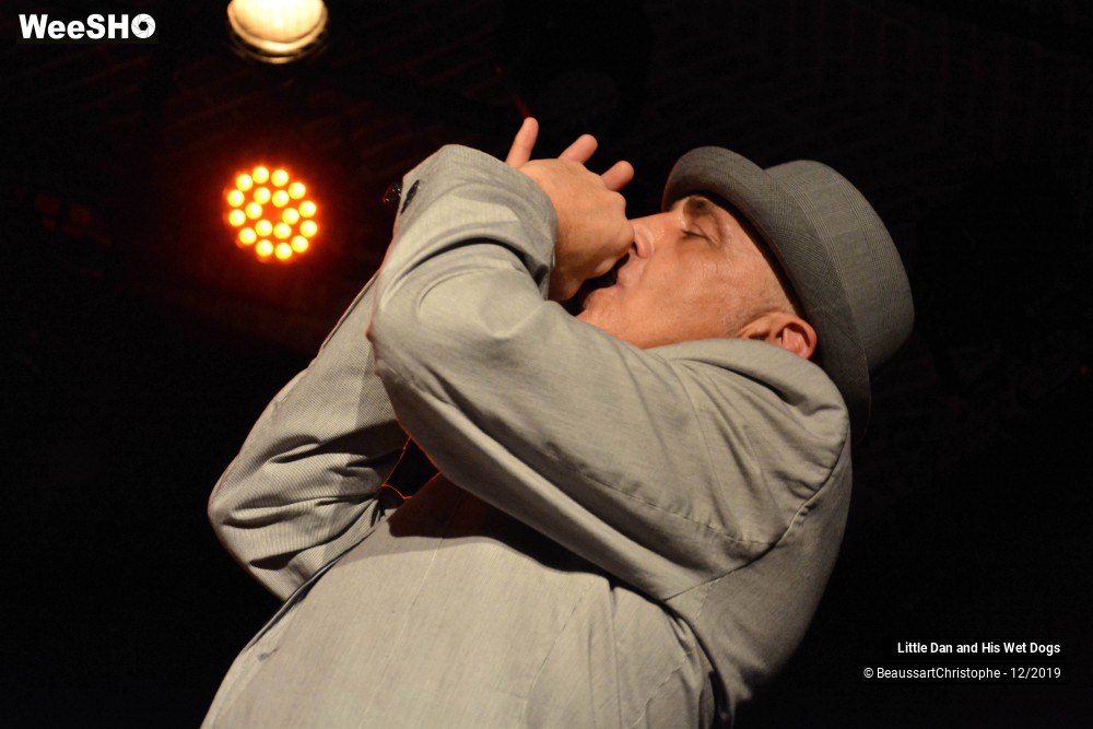 37/42 photos du spectacle Little Dan and His Wet Dogs