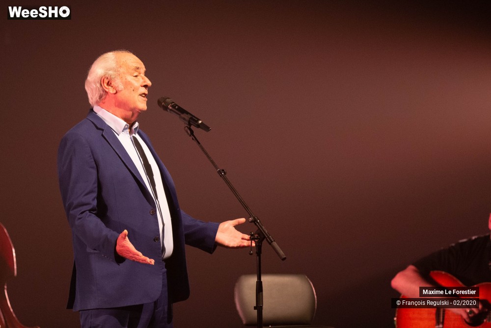 14/31 photos du spectacle Maxime Le Forestier