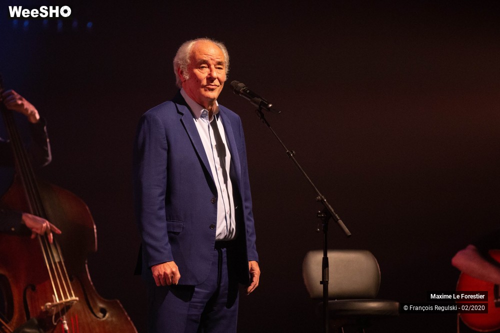 17/31 photos du spectacle Maxime Le Forestier