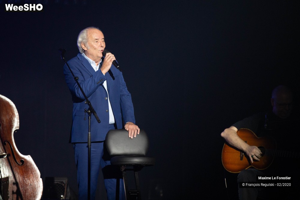 21/31 photos du spectacle Maxime Le Forestier