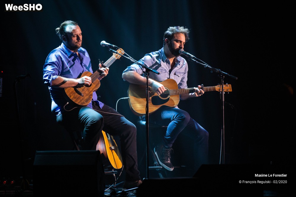 26/31 photos du spectacle Maxime Le Forestier