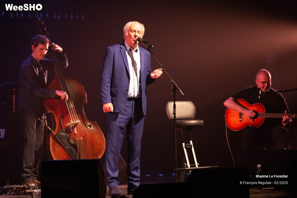 27/31 photos du spectacle Maxime Le Forestier