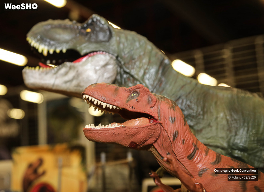 30/56 photos du spectacle Geek Convention 2 eme edition