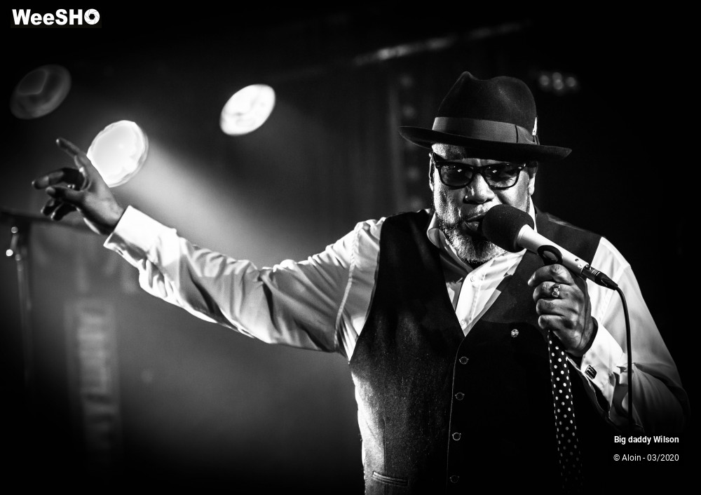 19/30 photos du spectacle Big Daddy Wilson