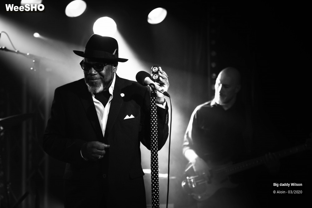 27/30 photos du spectacle Big Daddy Wilson