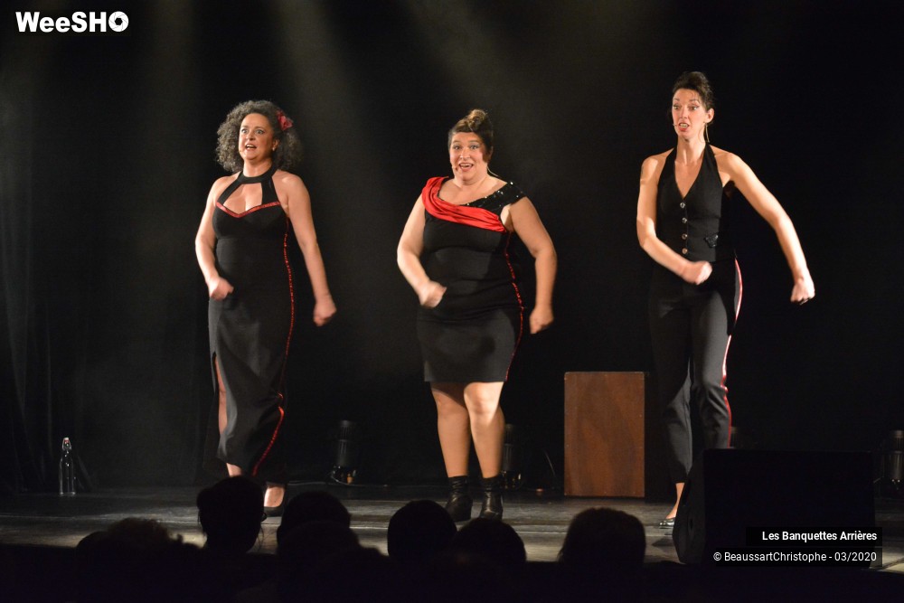 2/51 photos du spectacle Les Banquettes Arrières 