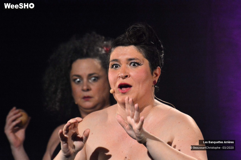 3/51 photos du spectacle Les Banquettes Arrières 