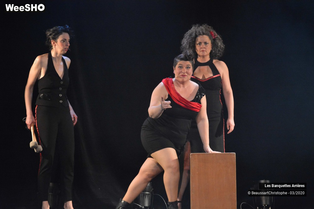 4/51 photos du spectacle Les Banquettes Arrières 