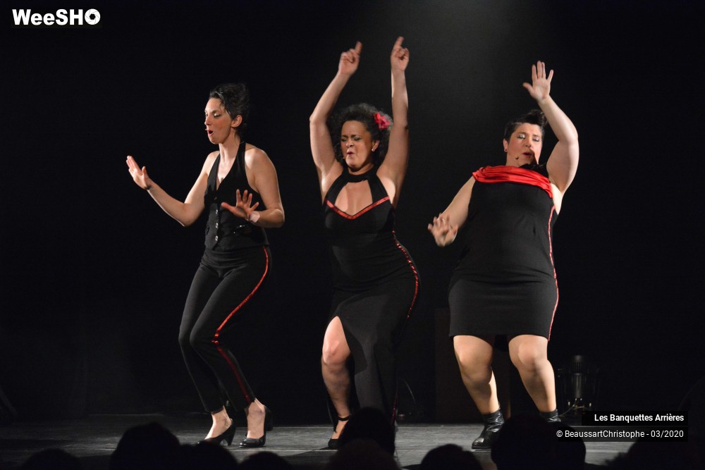 6/51 photos du spectacle Les Banquettes Arrières 