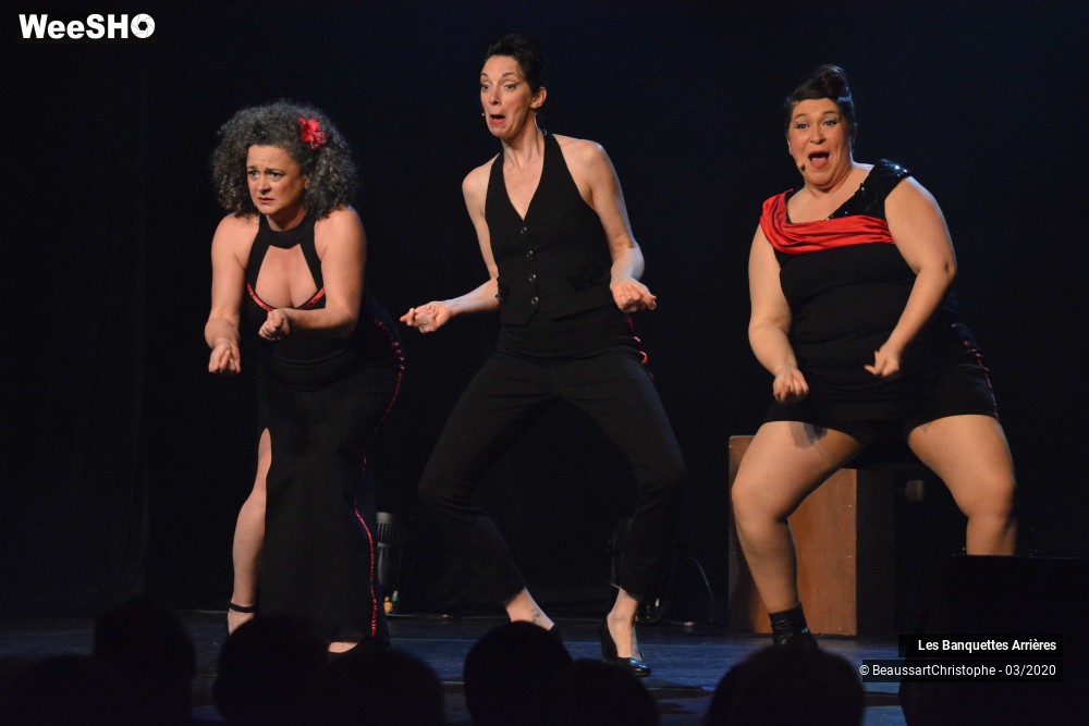 7/51 photos du spectacle Les Banquettes Arrières 