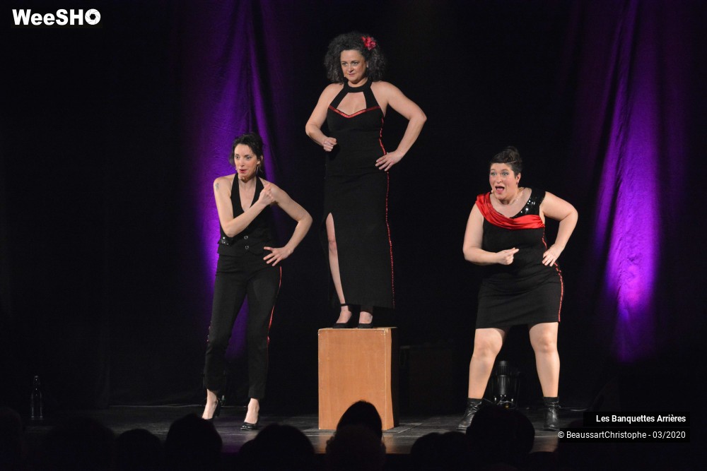 12/51 photos du spectacle Les Banquettes Arrières 